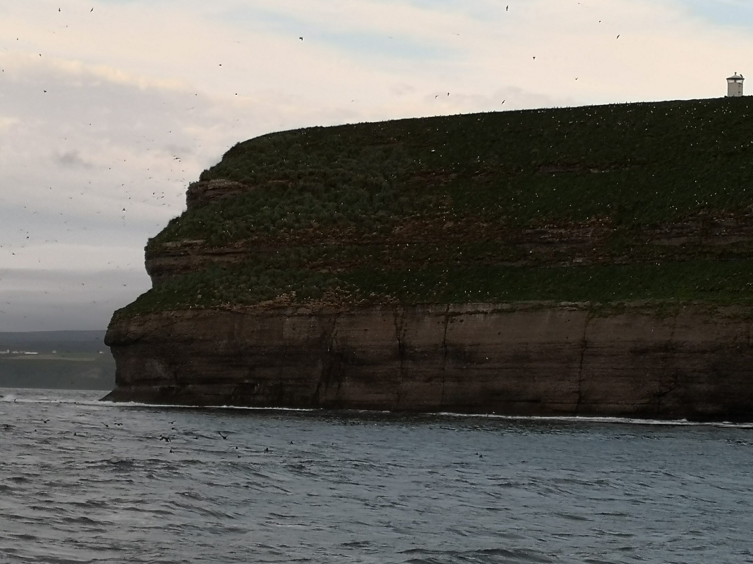 L'isola di Lundey con le colonie di pulcinelle di mare