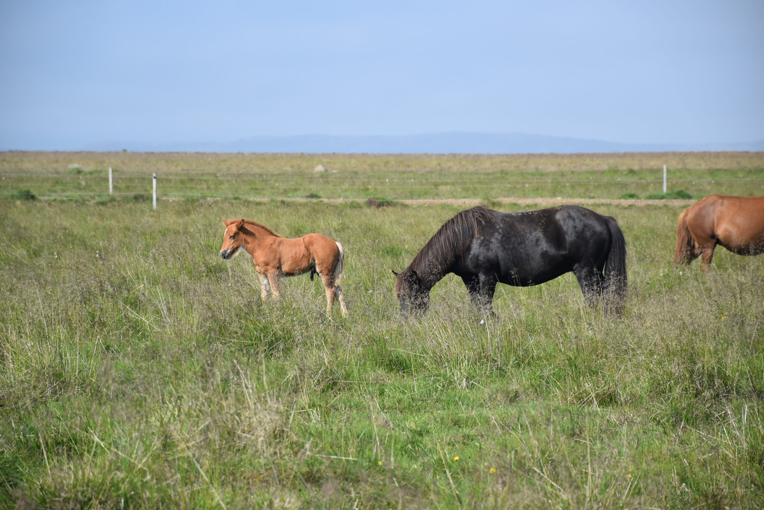 Islanda_23 - Þrístapar 02