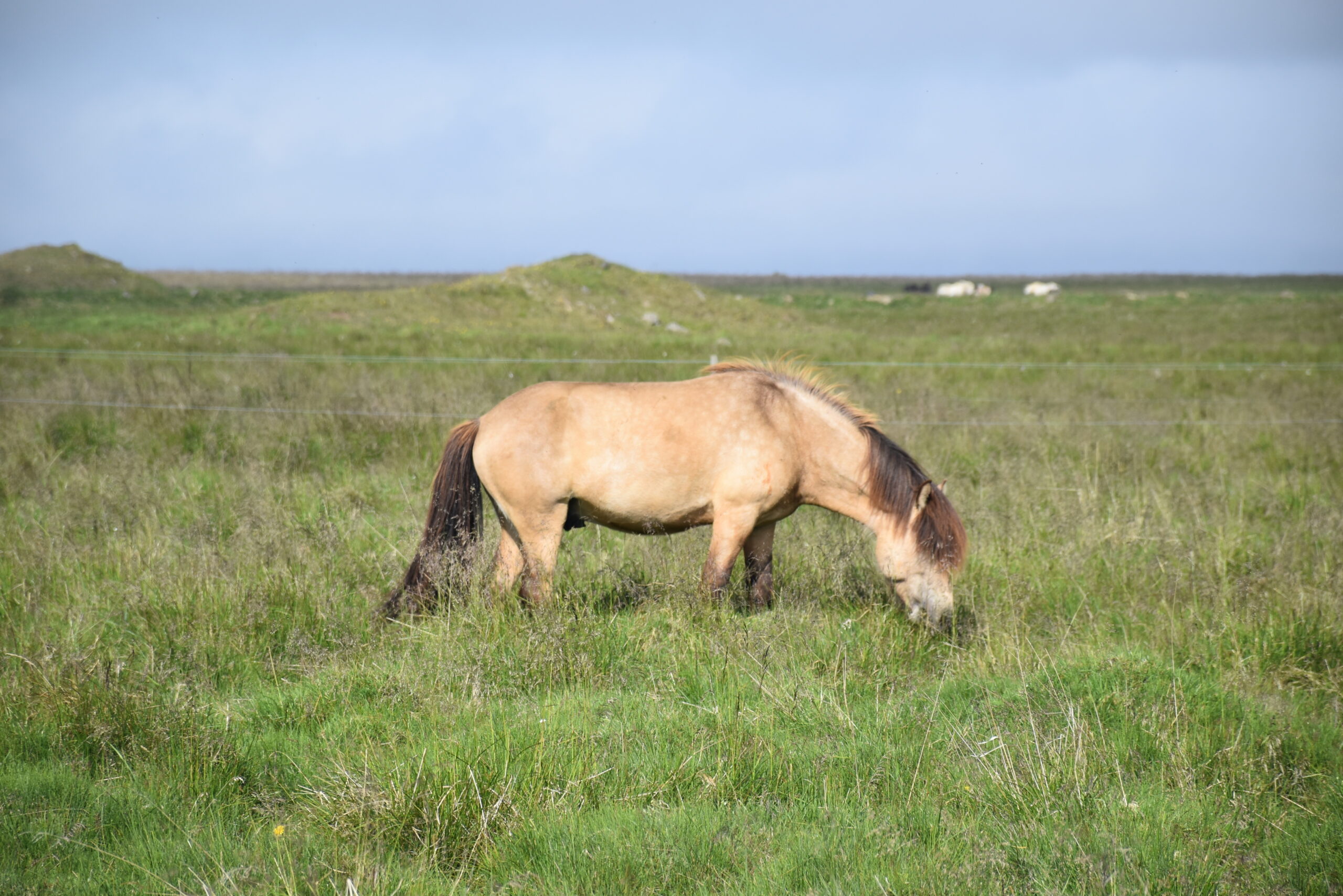 Islanda_23 - Þrístapar 05