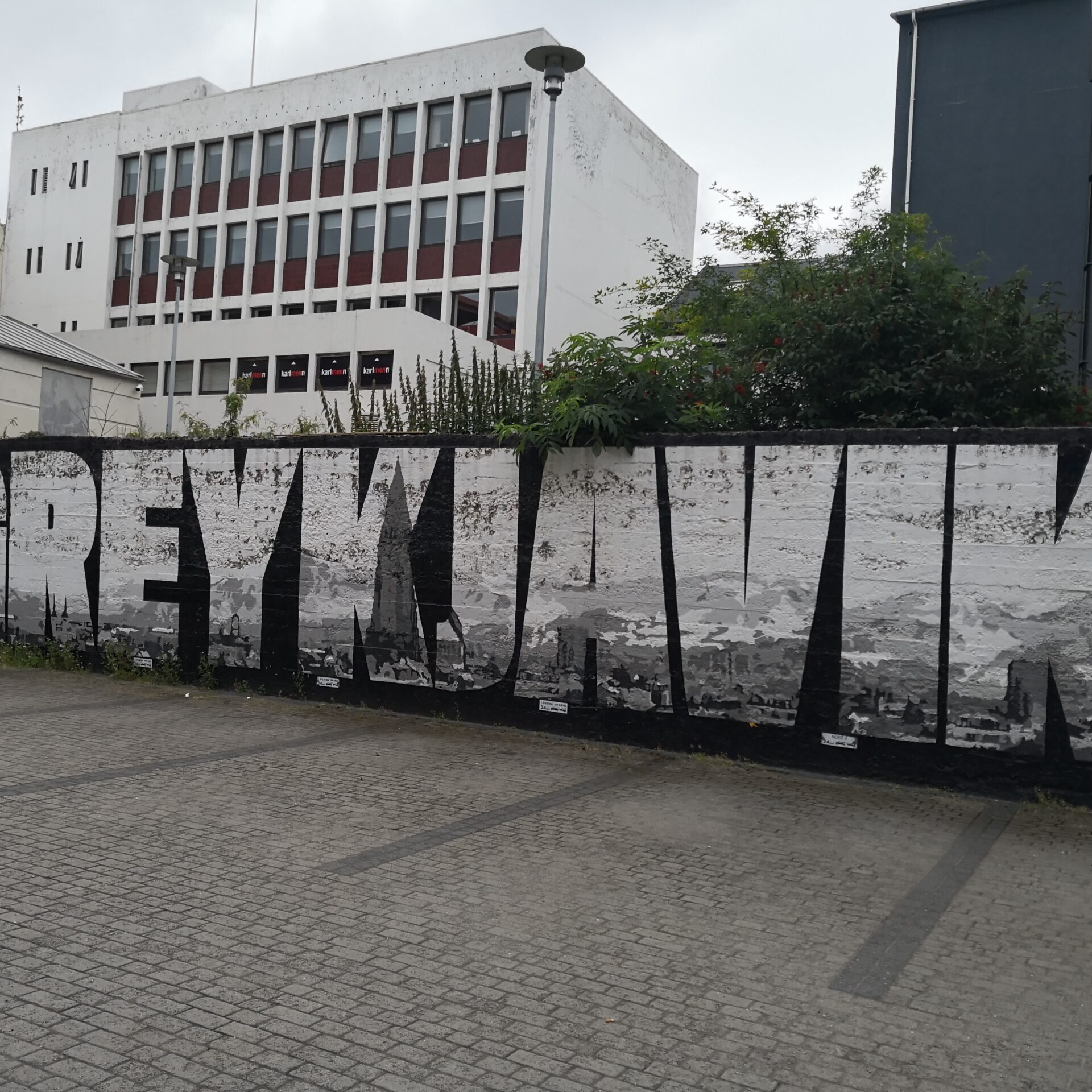 Islanda_Reykjavik_10 Street art di (G)Reykjavik
