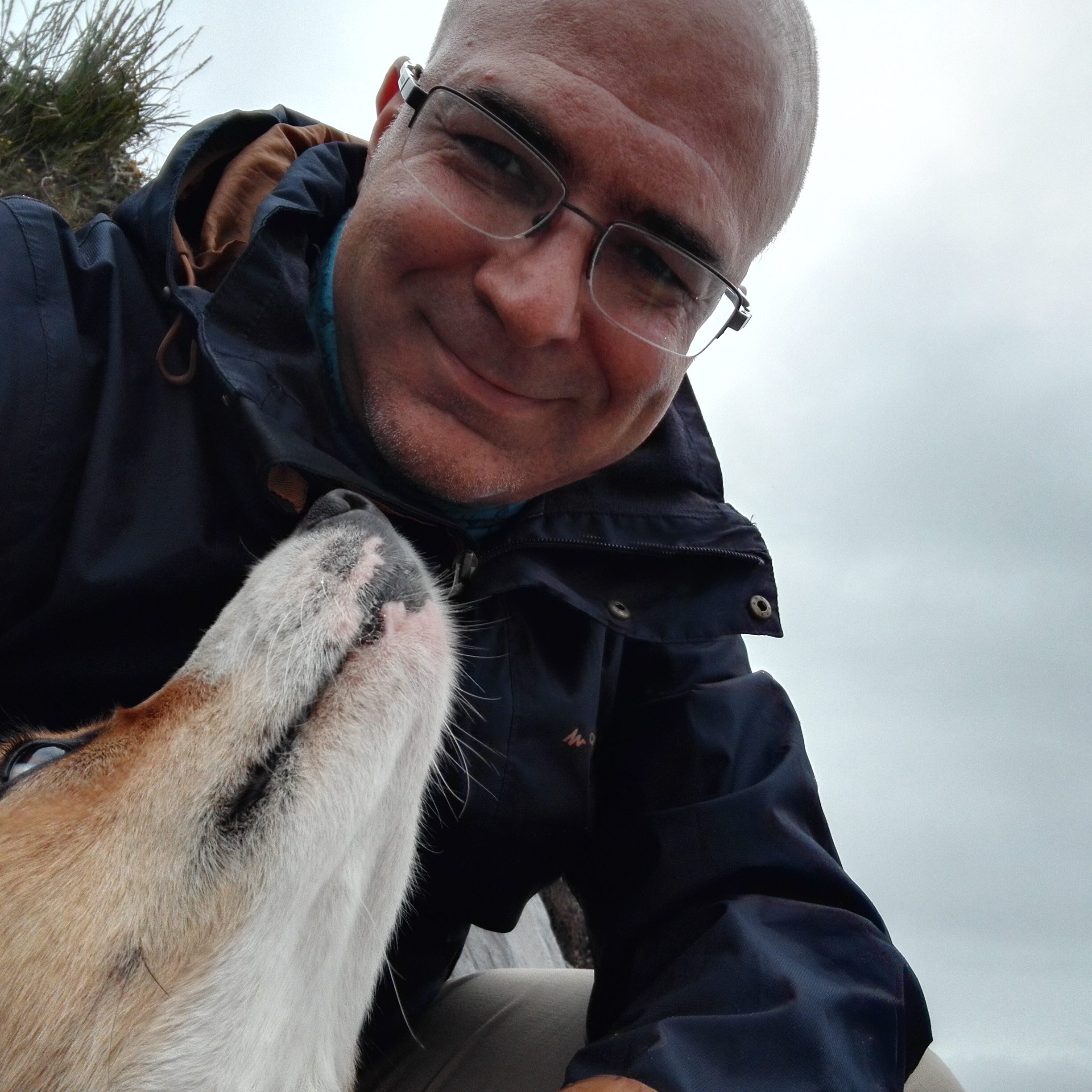 Un amico incontrato lungo il viaggio