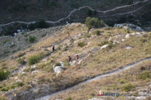 La discesa nella gravina