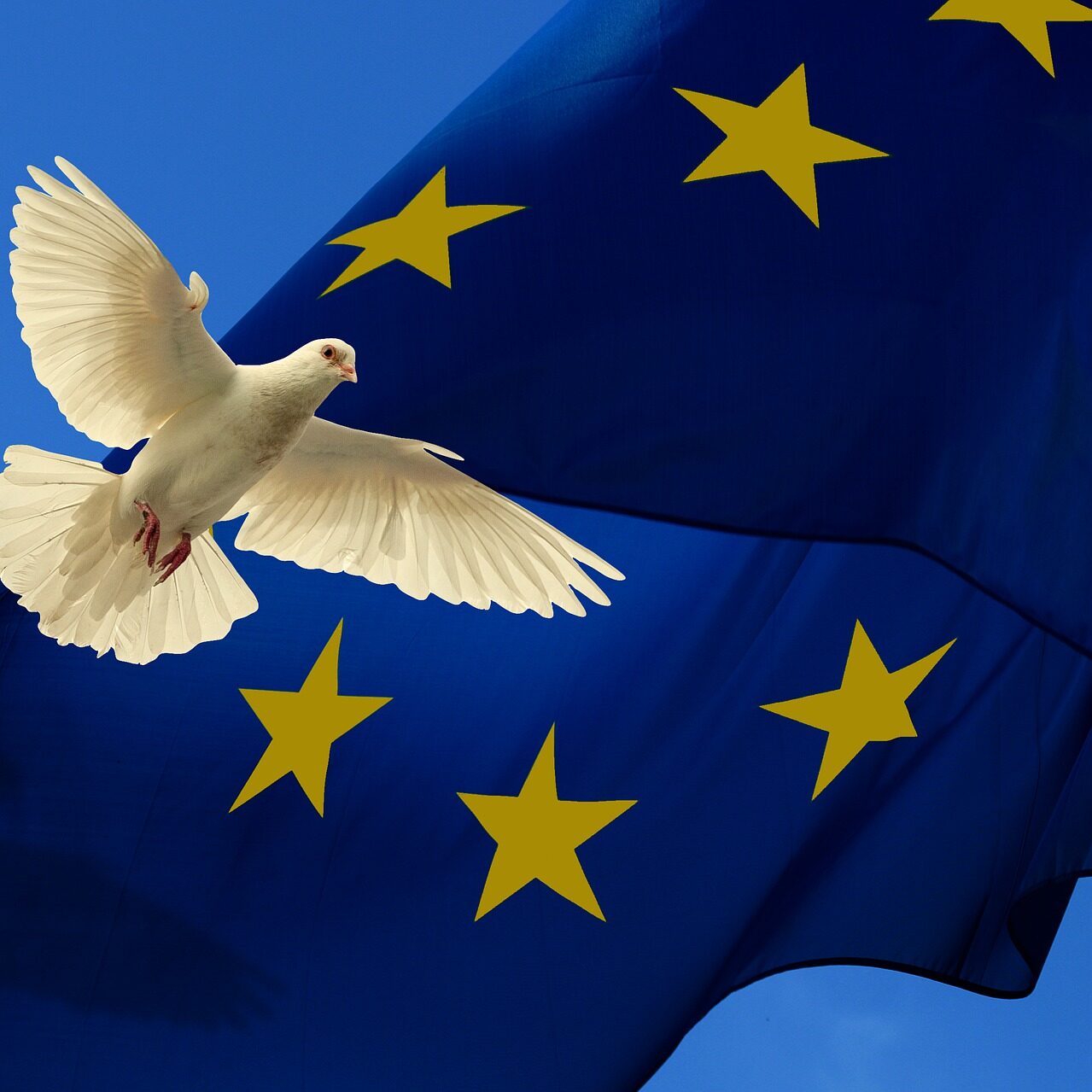 GRAFICA_europe-4262910_1920 GRAFICA_europe-4262910_1920