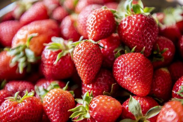 Fragole