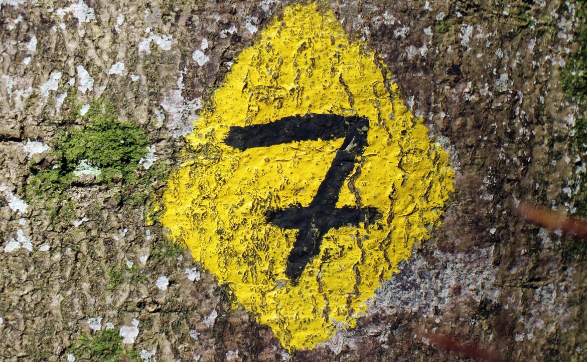 Numero 7