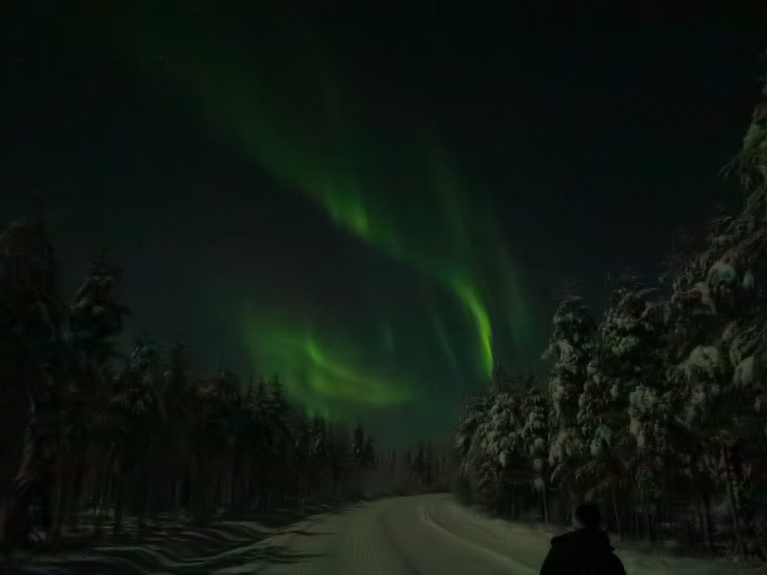 Finlandia_IMG_20211220_000053 Aurora Boreale