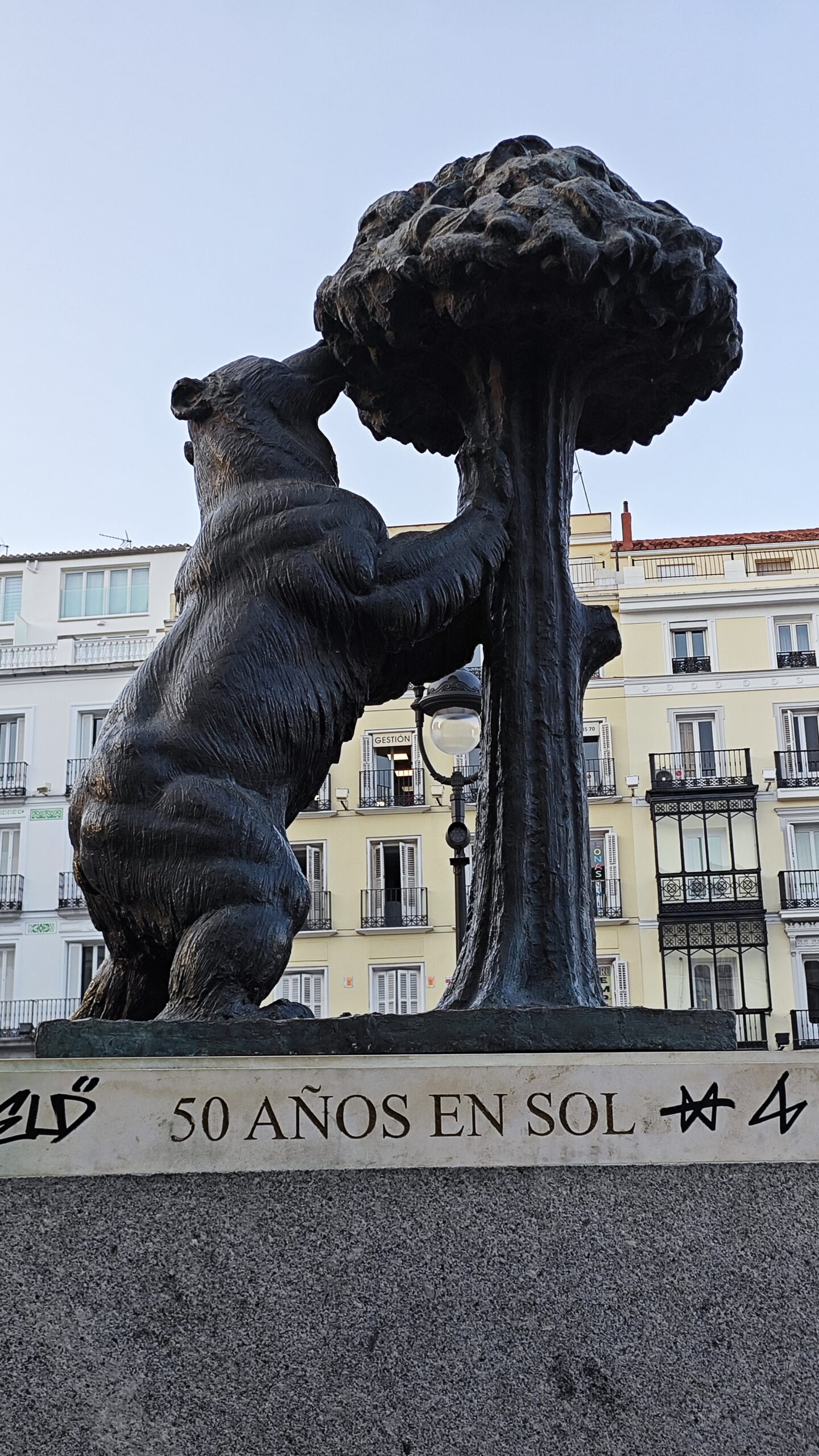 El oso y el madrono